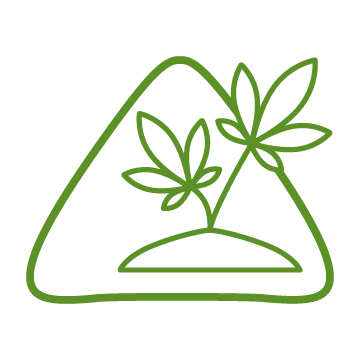 A green triangle with a hemp plant in it